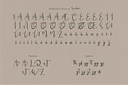 Seralace - Elegant Handwritten, a Handwritten Font by Indotype Foundry (Thumbnail 3 of 10)