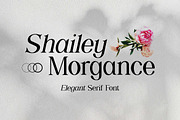 Shailey Morgance Elegant Serif Font, a Serif Font by UICreative (Thumbnail 1 of 13)