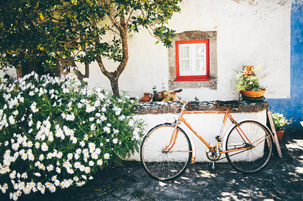 Vintage bike by rustic window, a Wallpaper Photo by SkyNext