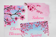 Cherry Blossom Watercolor Collection, a Decorative Illustration by Sveta Aho (Thumbnail 6 of 6)
