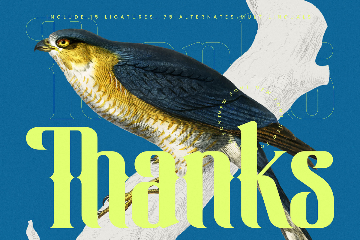 Hermatic - Modern Serif Display, a Script Font by timelesstype.co (Photo 20 of 20)