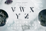 Lunare. Mysterious Graphic Set, an Animal Illustration by Muse Artist (Thumbnail 8 of 16)