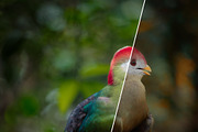 Matte Photoshop Actions, an Action Add-On by Viktor Gjokaj (Thumbnail 4 of 7)