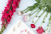 Tender Cherry Blossom, an Illustration by Olga Koelsch (Thumbnail 7 of 8)