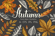 Autumn leaves. Vector Collection, an Illustration by Tabiti (Thumbnail 1 of 9)