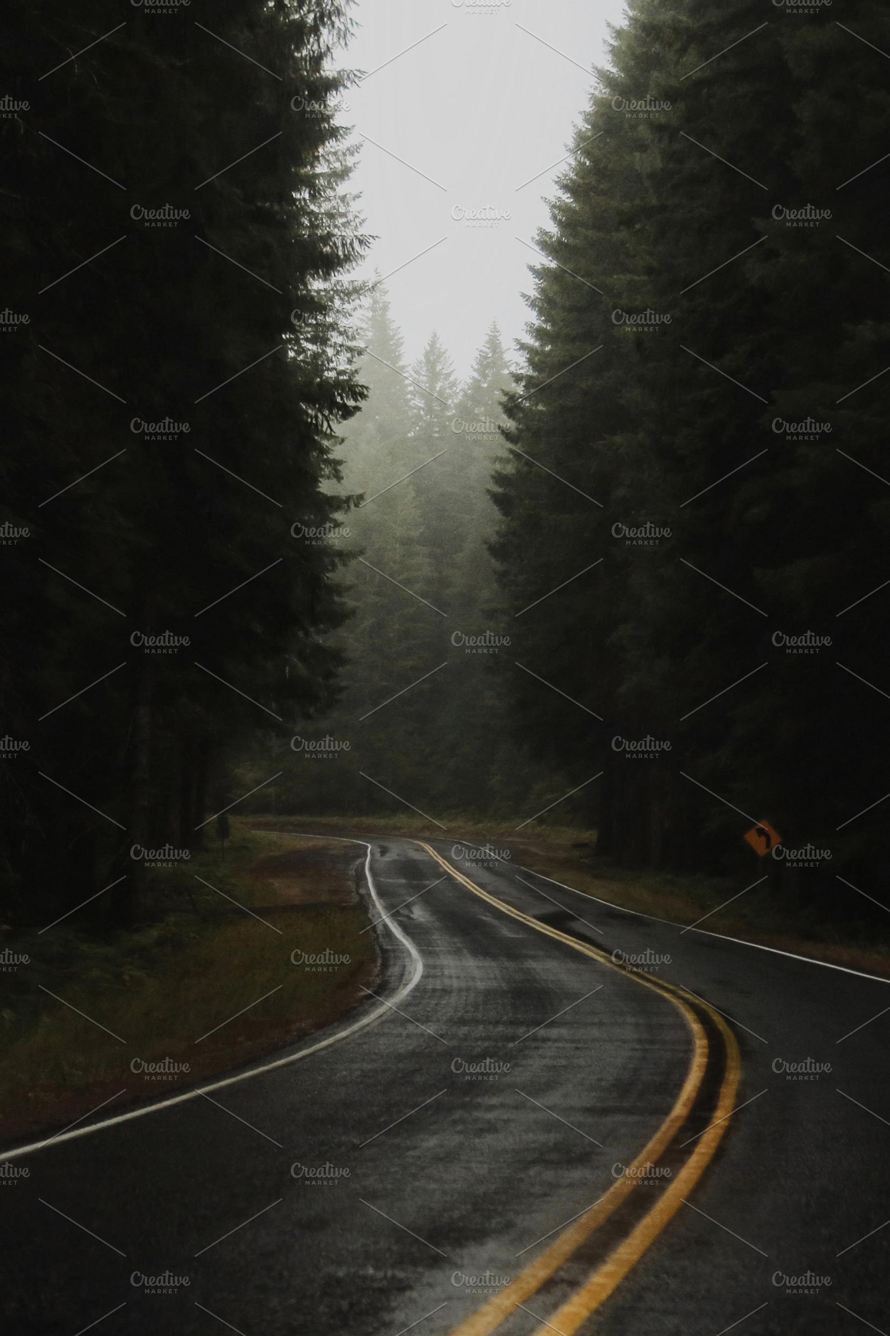 Forest road containing forest road, forest, and road, a Nature Photo by Dæmon Ex Machina