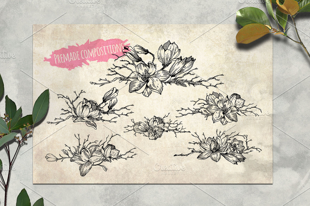 Magnolia flowers. Engraving style., a Decorative Illustration by Alena Kaz (Photo 5 of 12)