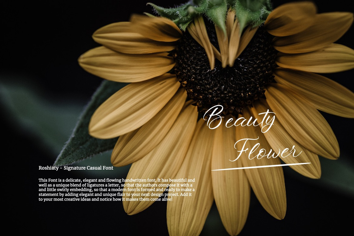 Roshiaty - Signature Casual Font, a Script Font by Dhabee (Photo 13 of 14)