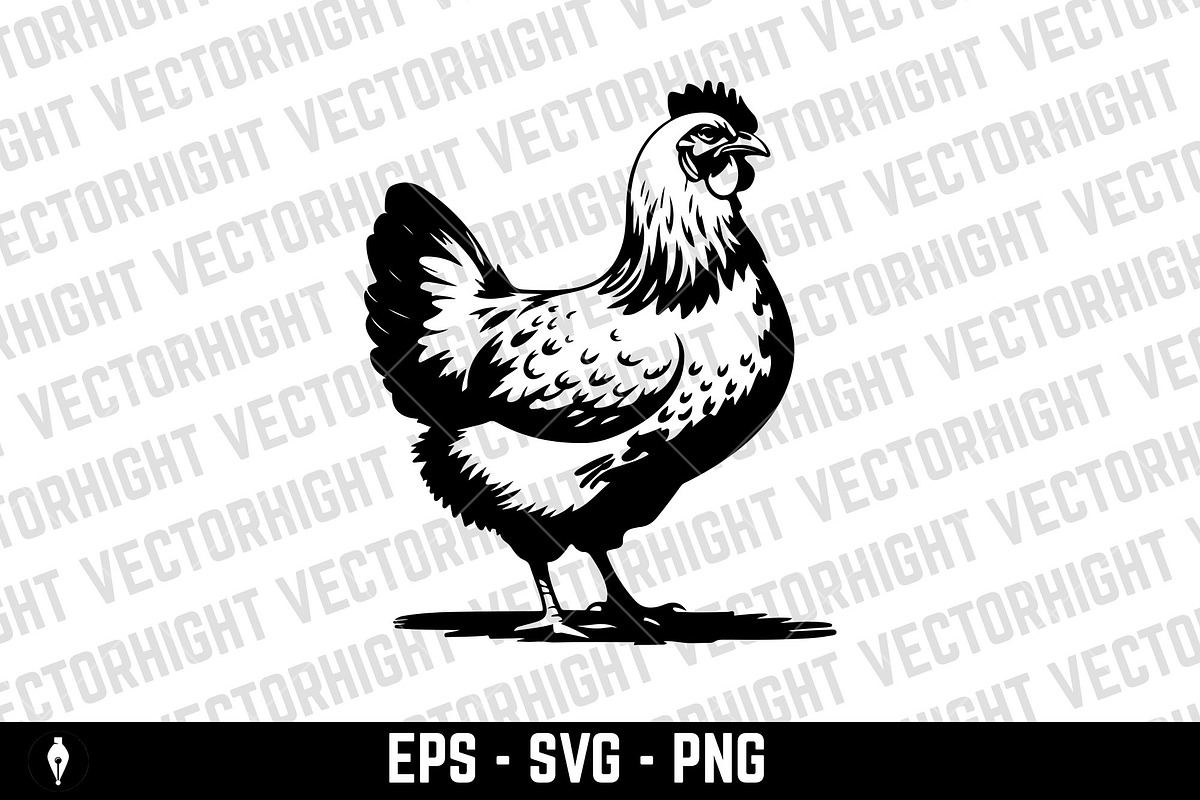 illustration of chicken in svg, an Animal Illustration by Vectorhight