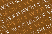The Bright Lake Font Duo + Logos, a Serif Font by SNIPESCIENTIST (Thumbnail 31 of 31)