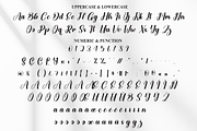 Manchester | Script Font, a Handwritten Font by Scratchones (Thumbnail 7 of 9)