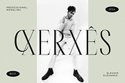 Rastofi Modern Ligature Serif, a Serif Font by Letterena Studios (Thumbnail 8 of 15)