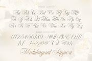 Le Maire - Modern Cursive Script, a Script Font by Pixesia Studio (Thumbnail 10 of 11)