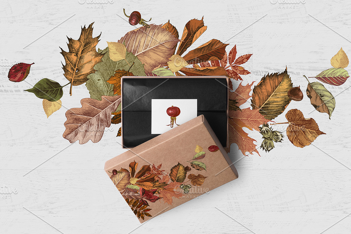 Fall in love - seasonal collection, an Object Illustration by handsketched (Photo 6 of 10)
