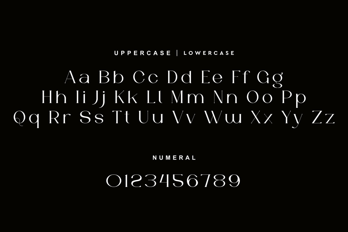 Gefars - Modern Ligature Serif Font, a Serif Font by QR Design Studio (Photo 8 of 14)