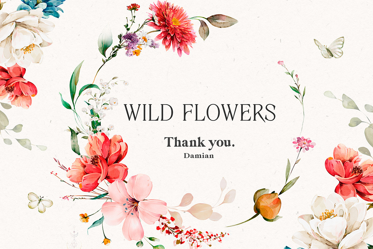 Watercolor Wildflowers & Leaves, a Decorative Illustration by Damian Roh (Photo 24 of 24)