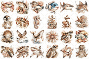 Watercolor Ocean Animals Clipart, an Illustration by Black Bird Studio (Thumbnail 2 of 5)