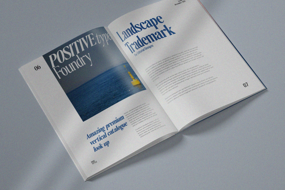 The Qualified Family (54 Fonts), a Serif Font by Positive TypeFoundry (Photo 6 of 15)