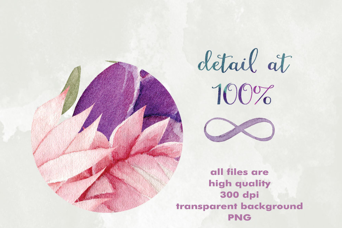 Exotic Watercolor Flowers Collection, a Decorative Illustration by Watercolor Nomads (Photo 7 of 7)