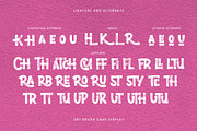 Nidella - Dry Brush Display Sans, a Sans Serif Font by Inviline.co (Thumbnail 5 of 12)