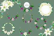 Lilies & Clematis Illustrations, an Illustration by SunnJaneArt (Thumbnail 7 of 13)