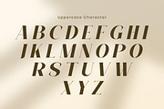 Eskara - Elegant Italic Serif Font, a Serif Font by Flawless And Co (Thumbnail 6 of 10)