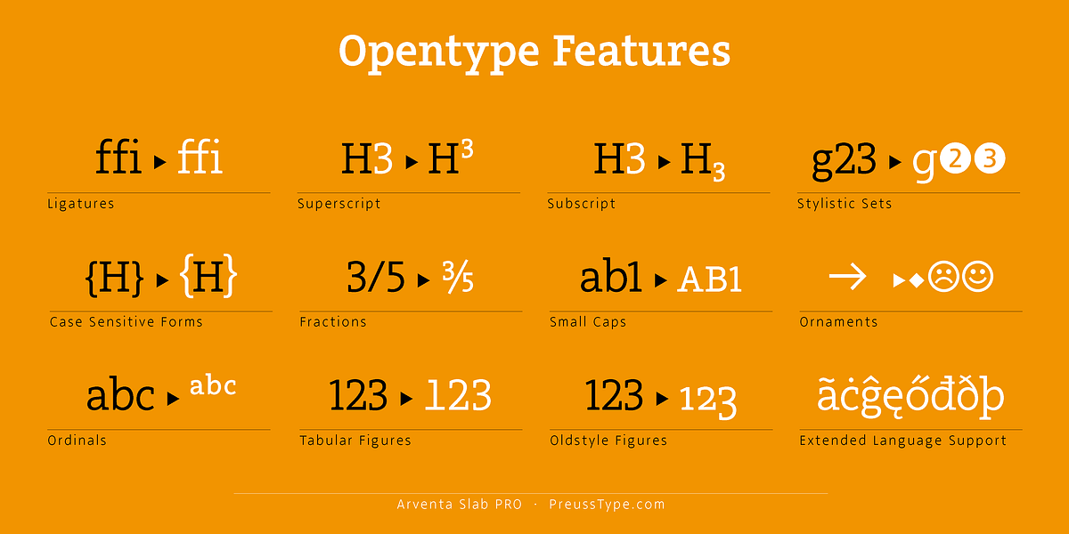Arventa Slab Pro, a Slab Serif Font by preussTYPE (Photo 6 of 10)