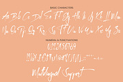 Kallem - Script Font, a Script Font by zelow type (Thumbnail 12 of 14)