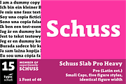 SchussSlabProHeavy No.15 (1 Font), a Slab Serif Font by typic schuss (Thumbnail 1 of 6)
