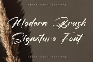 Brightton Puredis Brush Signature