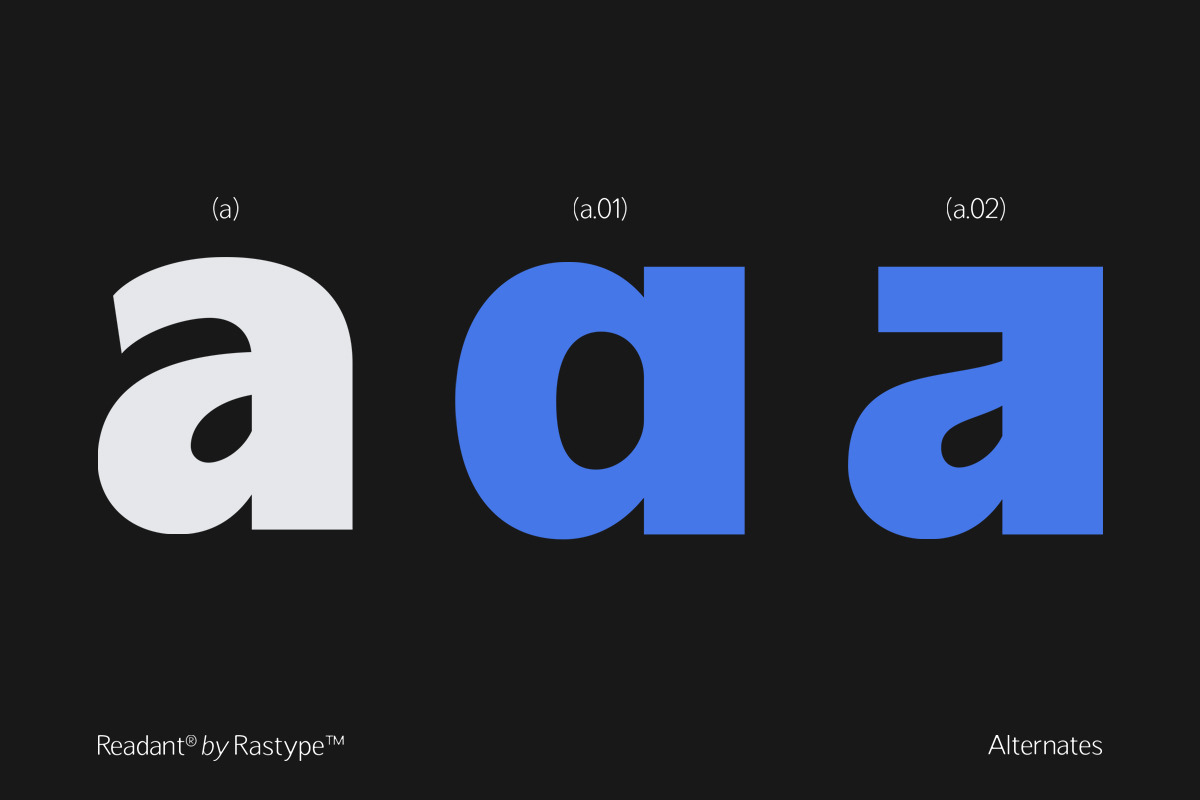 Readant Condensed - Family Font, a Sans Serif Font by Rastype (Photo 9 of 10)