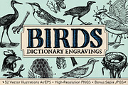 Dictionary Engravings Birds Vintage, an Illustration by Piddix Archives (Thumbnail 1 of 5)