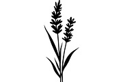 Decorative Tribal Feather Vector, an Object Graphic by Designer_Momina (Thumbnail 9 of 18)