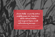Blushy Charm - Bold Script Font, a Font by Subectype Studio (Thumbnail 9 of 14)