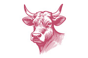 Vintage Jersey Cattle Engraving, an Animal Illustration by MkStudio (Thumbnail 3 of 4)