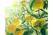 Apple set, a Food Illustration by Countryside life (Thumbnail 8 of 12)