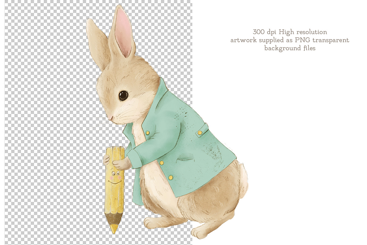 Peter Rabbit Game and clipart, an Education Illustration by AlenaVlasko stock Market (Photo 2 of 7)
