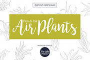 Air Plant Ink Illustration Set, an Illustration by Hannah Eliza Studio (Thumbnail 1 of 5)
