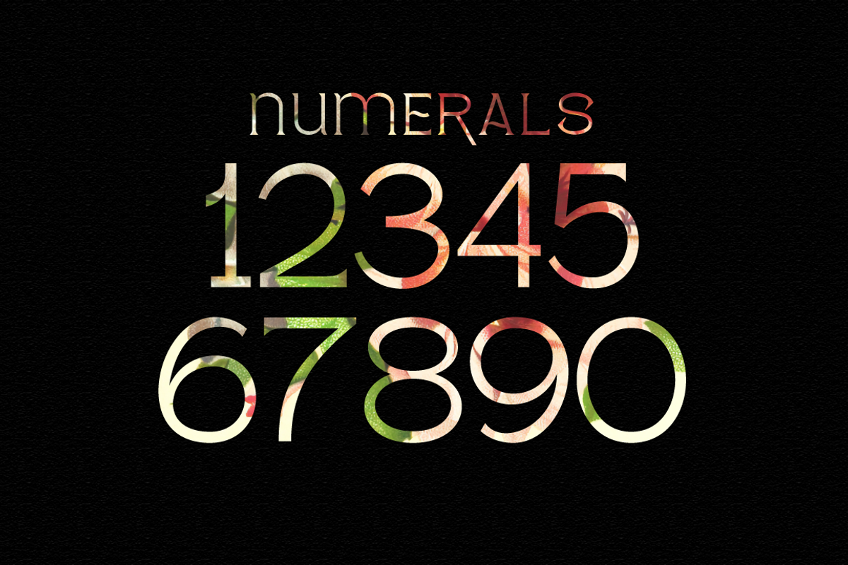Pagers - Display Serif, a Serif Font by tebaltipislab (Photo 7 of 15)