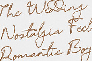 CS Ariana Disco, a Script Font by Craft Supply Co. (Thumbnail 3 of 8)