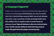 Solitas Slab, a Serif Font by insigne (Thumbnail 4 of 4)