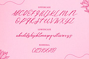 Hey Jane - Lovely Script, a Handwritten Font by Typefactoryco (Thumbnail 2 of 9)
