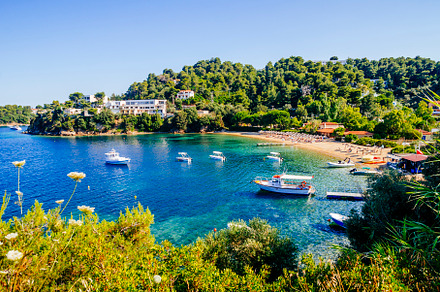 Troulos beach, Skiathos island, Greece. Beautiful vivid panorama, a Nature Photo by hitdelight