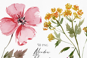 Watercolor Modern Meadow Flowers