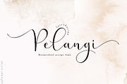 Pelangi script, a Script Font by Sulthan Studio (Thumbnail 1 of 9)