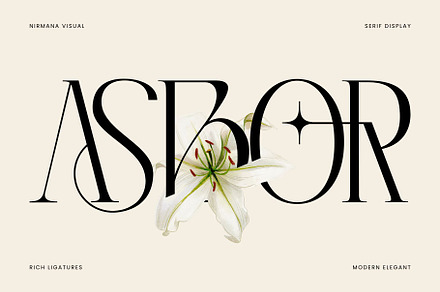 Asbor - Modern Display Serif, a Serif Font by Nirmana Visual