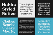 Brenco, a Serif Font by zeenesia (Thumbnail 4 of 17)