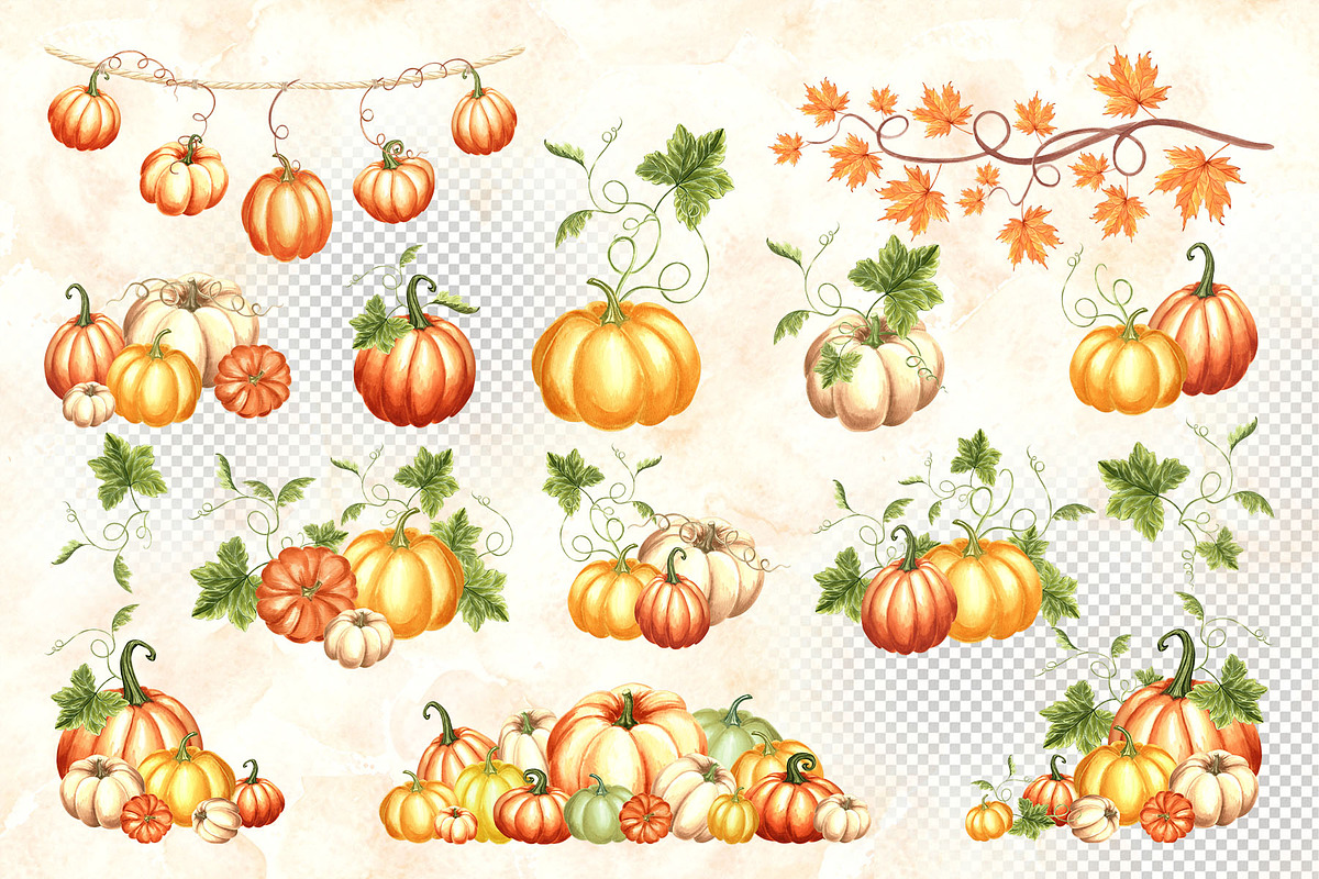 Autumn pumpkins watercolor clipart, a Decorative Illustration by susie-p-art (Photo 4 of 17)