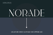 BLANNET Ligature Serif Typeface, a Serif Font by Humaira_std (Thumbnail 6 of 10)