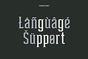 T415 Barbell, a Slab Serif Font by Type415™ (Thumbnail 4 of 6)